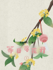 等日落花开1在线阅读