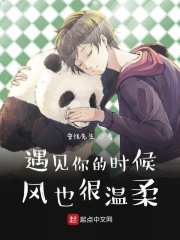 遇见你的时候，风也很温柔在线阅读