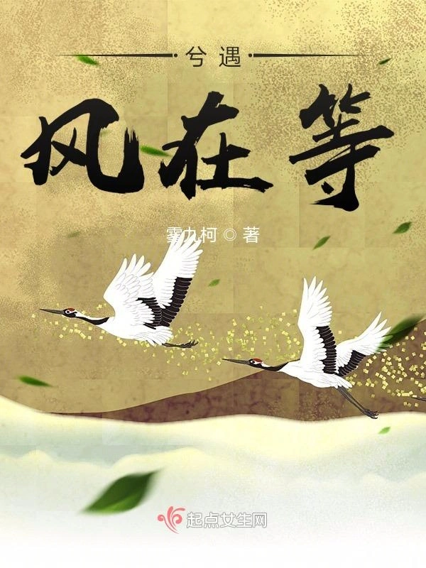兮遇，风在等