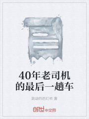 40年老司机的最后一趟车在线阅读