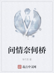 问情奈何桥在线阅读