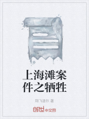 上海滩案件之牺牲在线阅读