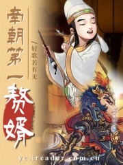 南朝第一赘婿在线阅读