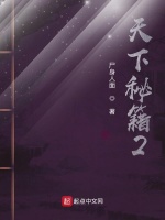天下秘籍2封面