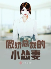 傲娇总裁的小怂妻前传