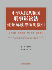 中华人民共和国刑事诉讼法逐条解读与适用指引