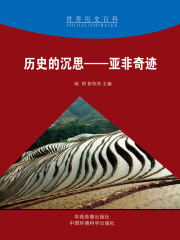 历史的沉思：亚非奇迹（世界历史百科）