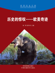 历史的惊叹：欧美奇迹（世界历史百科）