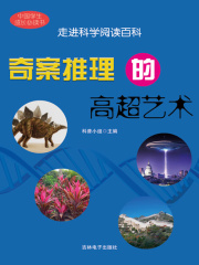 奇案推理的高超艺术