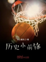 历史小前锋在线阅读