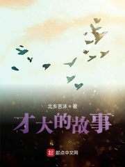才大的故事在线阅读