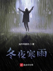 冬夜寒雨