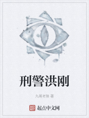 刑警洪刚在线阅读