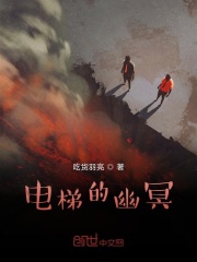 电梯的神秘在线阅读