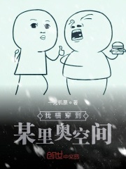 我横穿到某里奥空间在线阅读