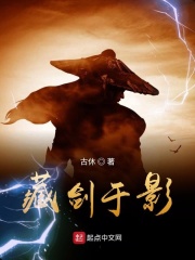 藏剑于影在线阅读