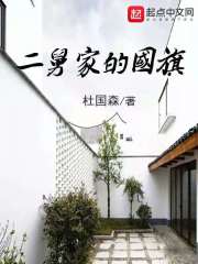 二舅家的国旗
