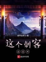 这个刺客会巫术封面