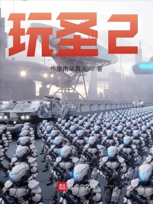 玩圣2