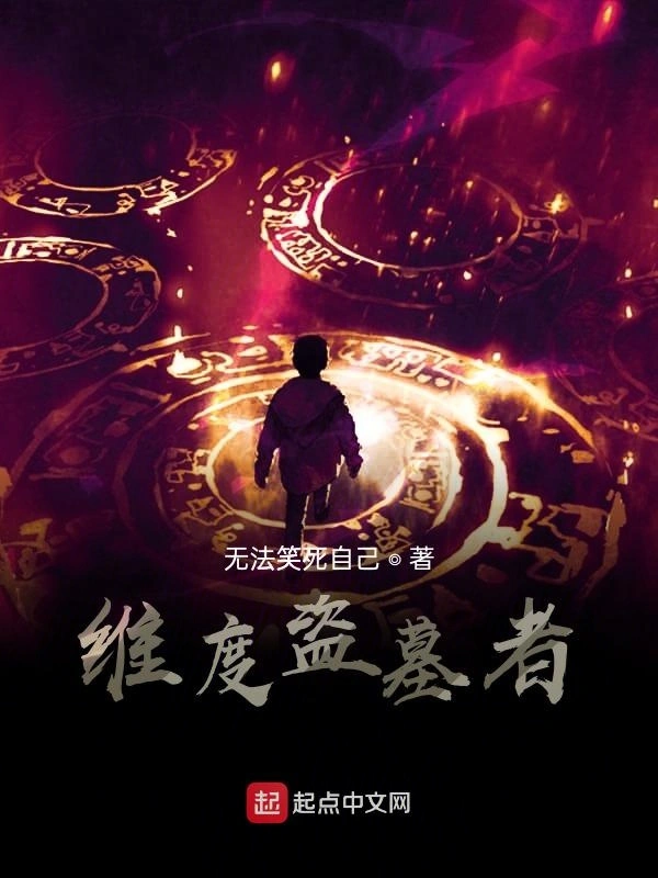 维度盗墓者