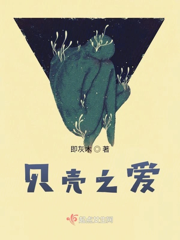 贝壳之爱