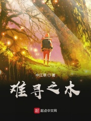 难寻之木