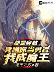 都是穿越，凭啥你当勇者我成魔王在线阅读