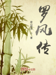 罗风传在线阅读