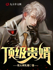 顶级贵婿在线阅读