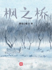 枫之桥在线阅读