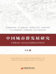 中国城市群发展研究