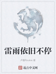 雷雨依旧不停在线阅读