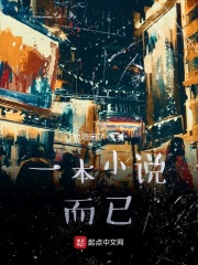 一本小说而已在线阅读