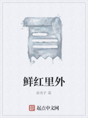 鲜红里外在线阅读