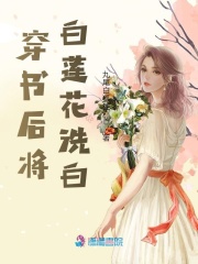 穿书后将白莲花洗白在线阅读