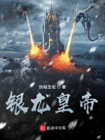 银龙皇帝在线阅读