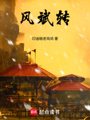 风斌转在线阅读