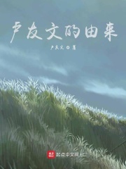 卢友文的由来在线阅读