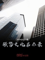 强势文化启示录