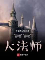 霍格沃茨大法师在线阅读