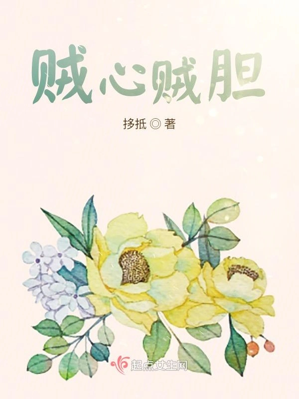 贼心贼胆
