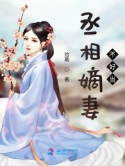 丞相嫡妻不好当在线阅读