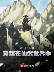 穿越在仙