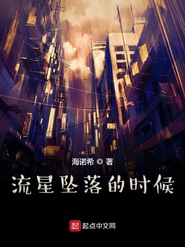 流星坠落的时候在线阅读