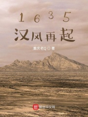 1635汉风再起在线阅读