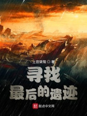 寻找最后的遗迹在线阅读