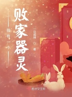 我有一个败家器灵封面