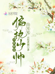 小娇娇是偏执少帅白月光在线阅读