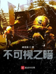 不可视之暗在线阅读