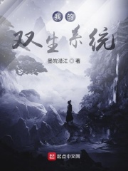 我的双生系统